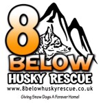 Personalised Cards & eCards supporting 8 Below Husky Rescue 