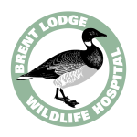 Personalised Cards & eCards supporting Brent Lodge Wildlife Hospital