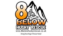 Personalised Charity Greeting Cards & Greeting Ecards for 8 Below Husky Rescue 