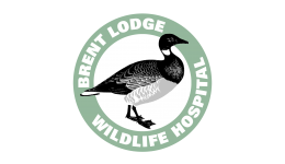 Personalised Charity Greeting Cards & Greeting Ecards for Brent Lodge Bird & Wildlife Trust