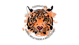 Personalised Charity Greeting Cards & Greeting Ecards for Tigers4Ever