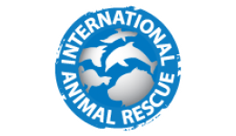 Personalised Charity Greeting Cards & Greeting Ecards for International Animal Rescue