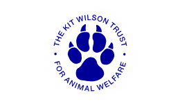 Personalised Charity Greeting Cards & Greeting Ecards for Kit Wilson