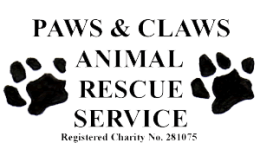 Personalised Charity Greeting Cards & Greeting Ecards for Paws And Claws