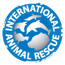Charity Greeting Cards & Greeting Ecards for International Animal Rescue